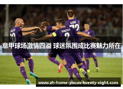 意甲球场激情四溢 球迷氛围成比赛魅力所在